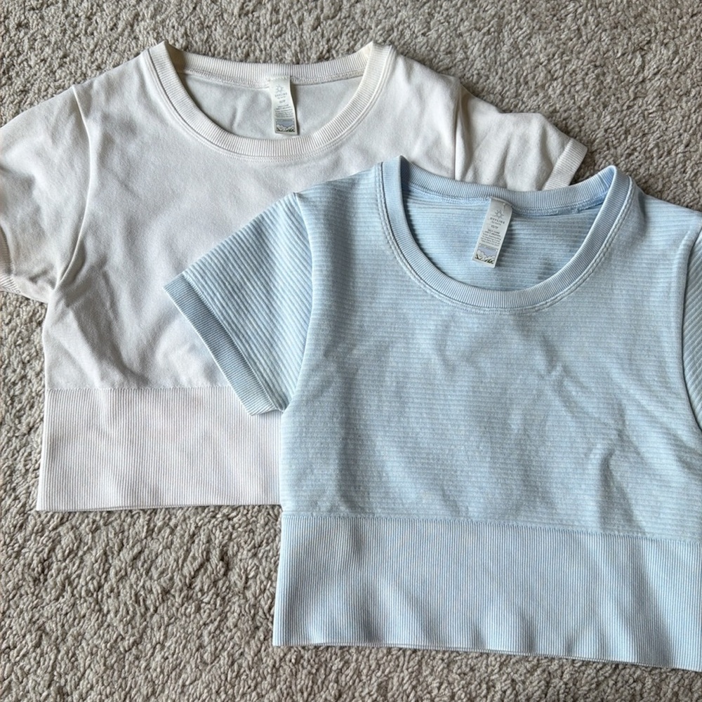 AERIE CROPPED WORKOUT TEE